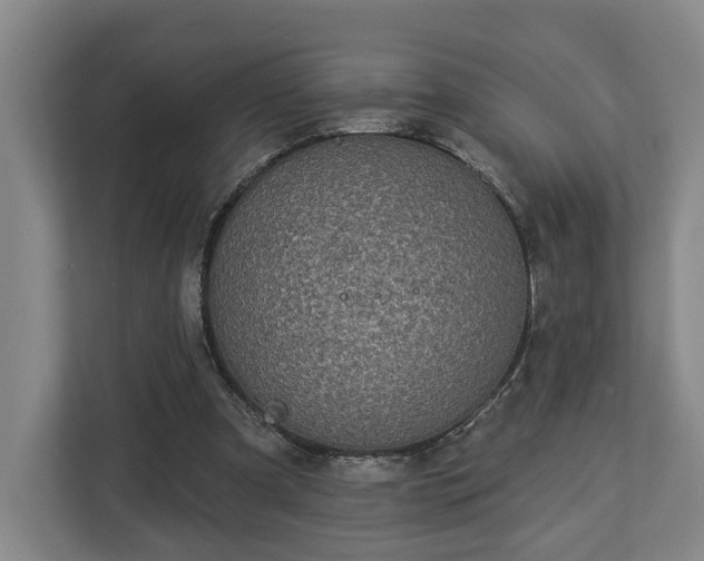 X0000113100297200909041231