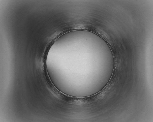 X0000113100298200909041231
