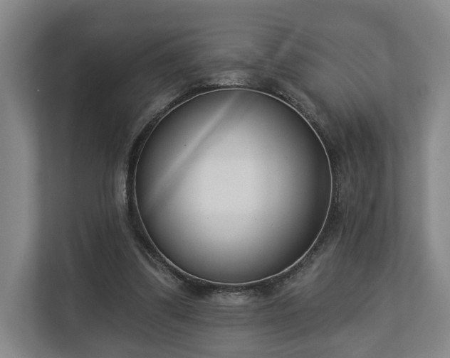 X0000113100299200909041231