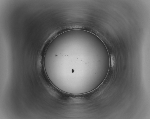 X0000113100300200909041231