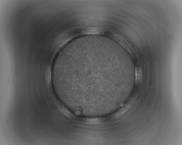 X0000113100301200909041231
