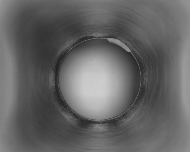 X0000113100303200909041231