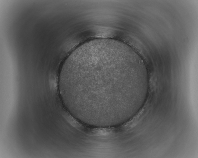 X0000113100305200909041231