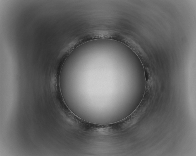 X0000113100306200909041231