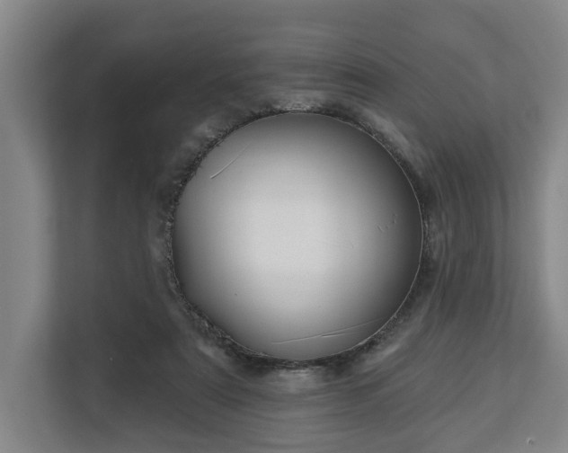 X0000113100307200909041231