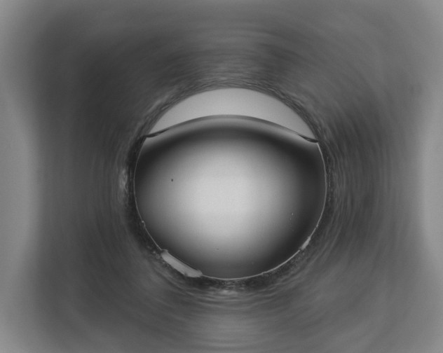 X0000113100308200909041231