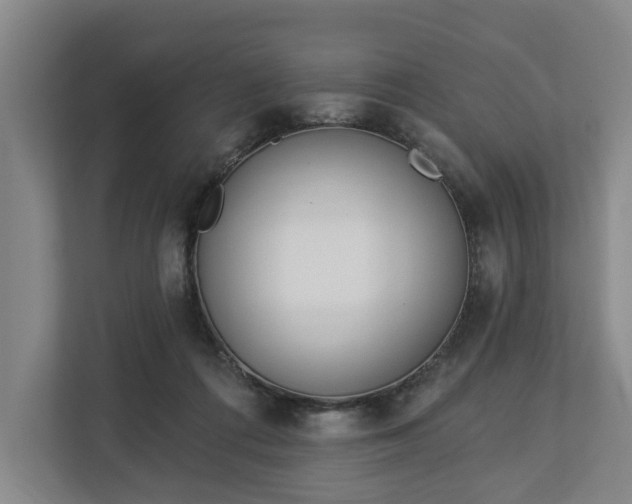 X0000113100312200909041231