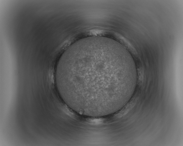 X0000113100313200909041231