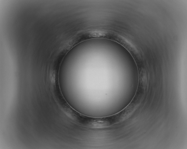 X0000113100315200909041231