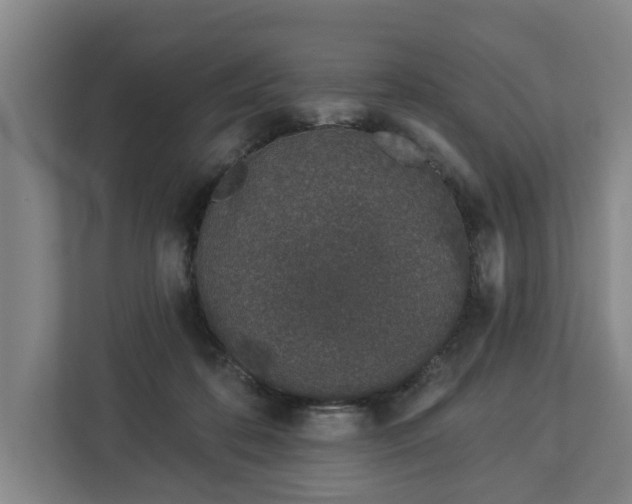 X0000113100316200909041231