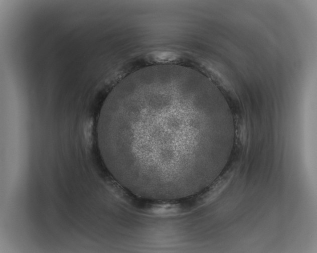 X0000113100319200909041231