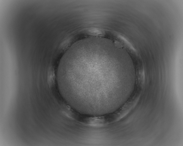 X0000113100320200909041231