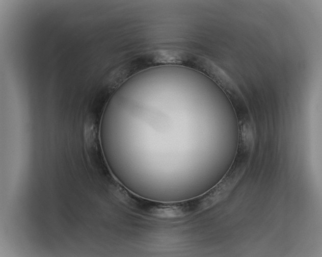 X0000113100322200909041231