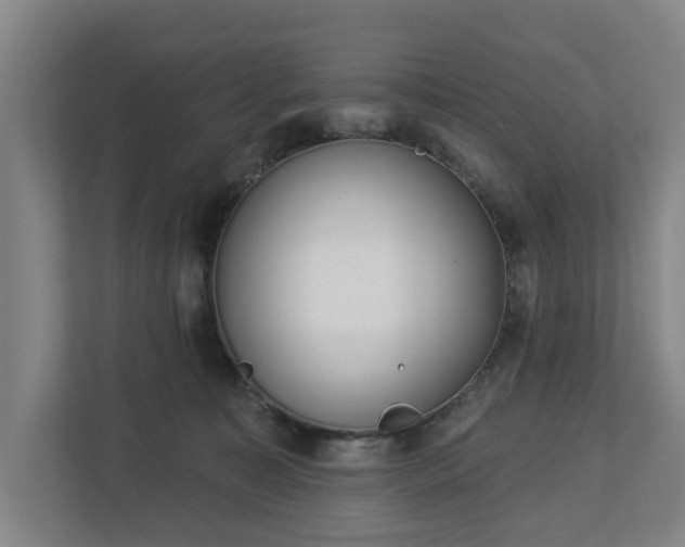 X0000113100323200909041231