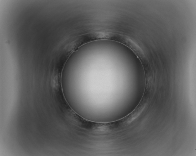 X0000113100325200909041231