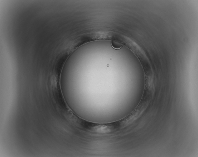 X0000113100326200909041231