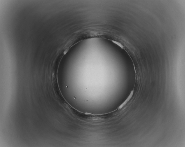 X0000113100327200909041231