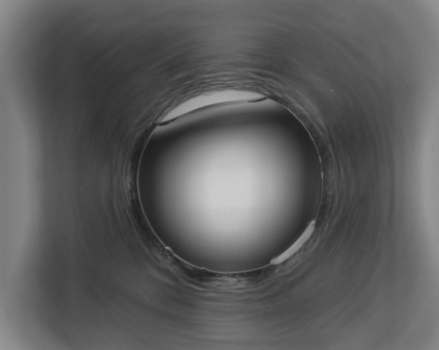 X0000113100328200909041231