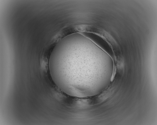 X0000113100332200909041231