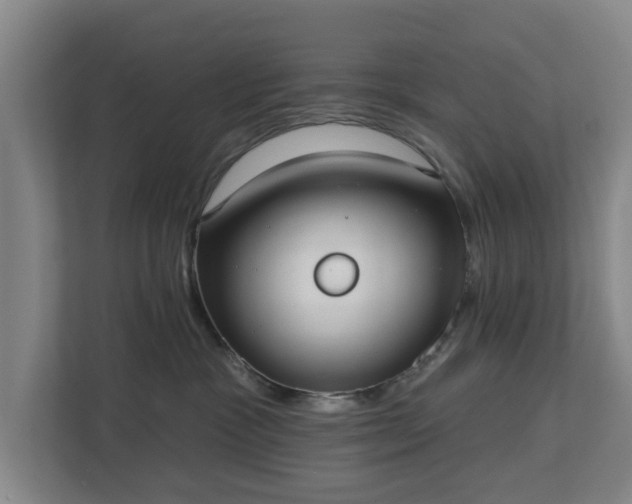 X0000113100333200909041231