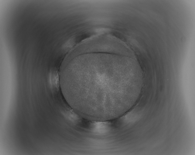 X0000113100336200909041231