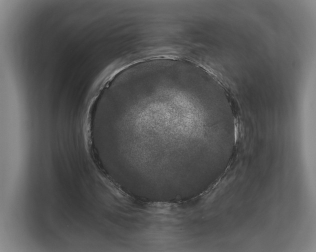 X0000113100339200909041230