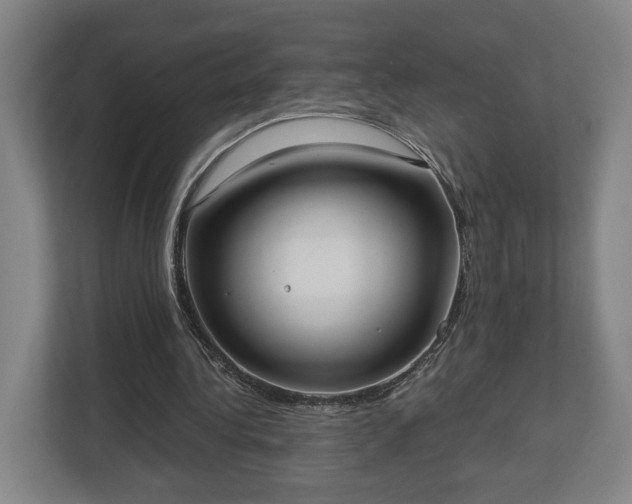 X0000113100340200909041230
