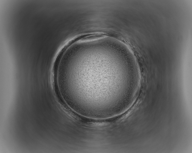 X0000113100342200909041230