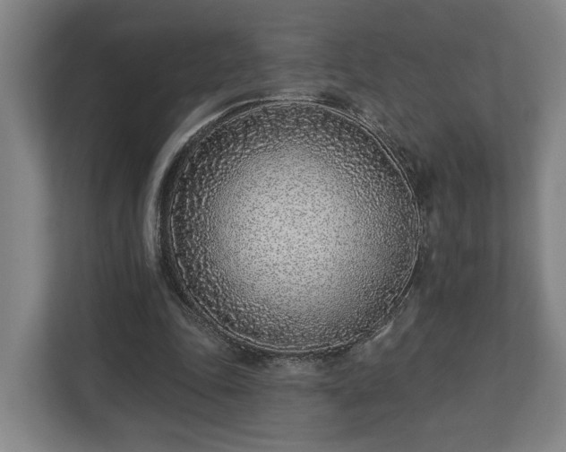 X0000113100343200909041230