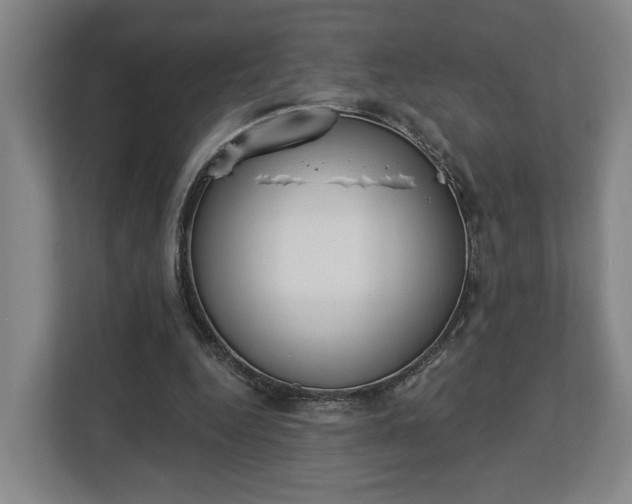 X0000113100344200909041230