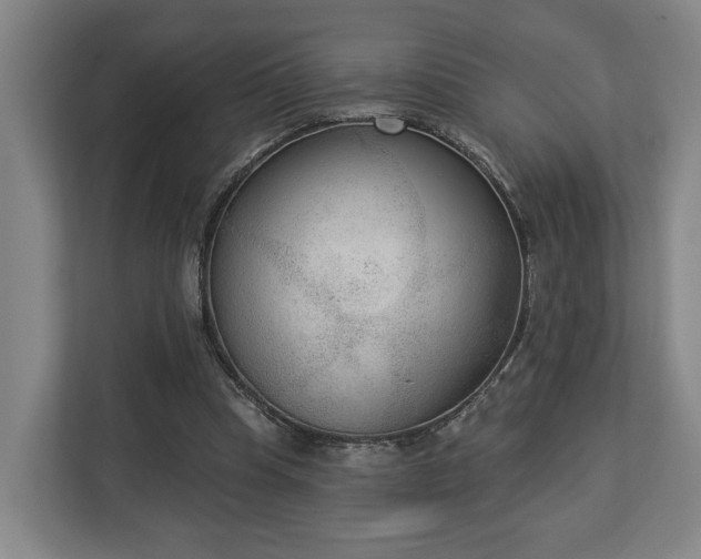 X0000113100345200909041230