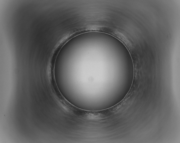X0000113100346200909041230