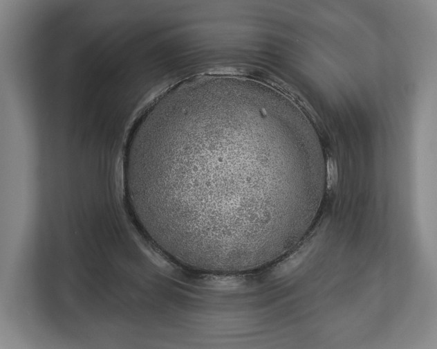 X0000113100349200909041230