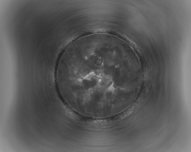 X0000113100353200909041230