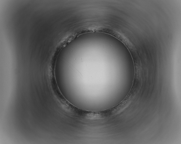 X0000113100354200909041230