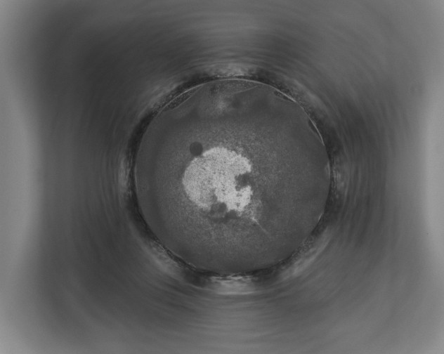 X0000113100359200909041231