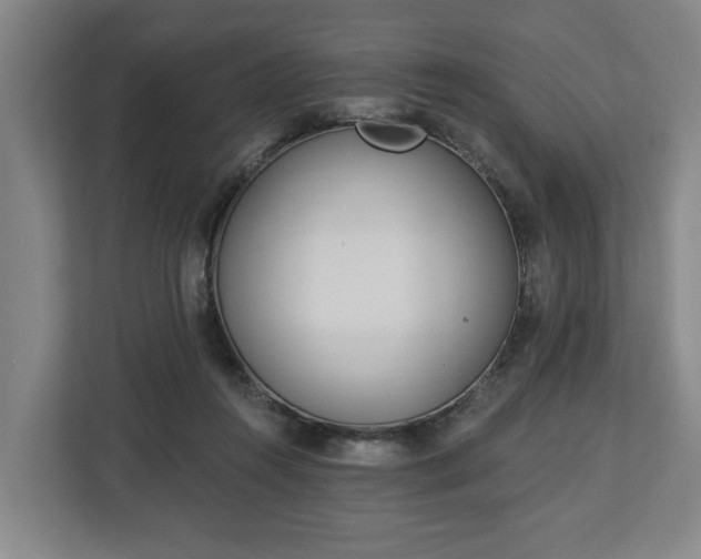 X0000113100360200909041231