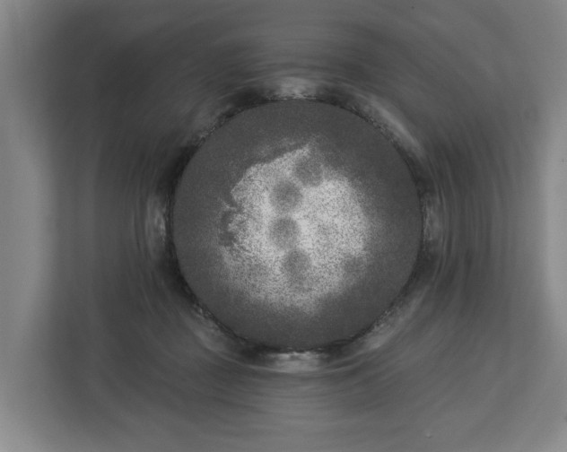 X0000113100363200909041231