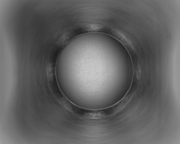 X0000113100366200909041231