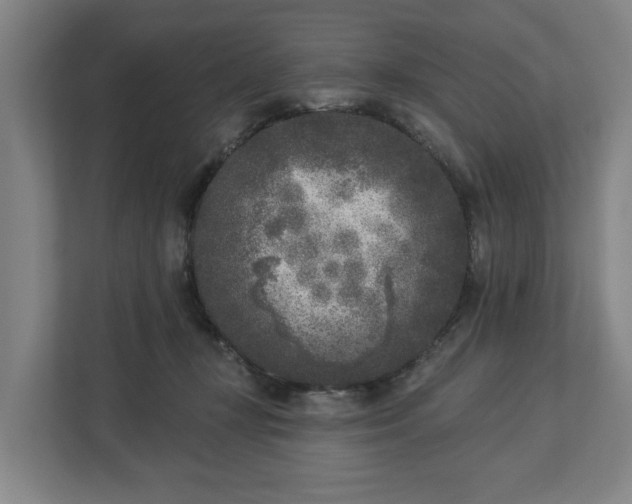 X0000113100367200909041231