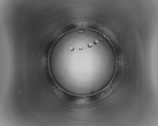 X0000113100369200909041231