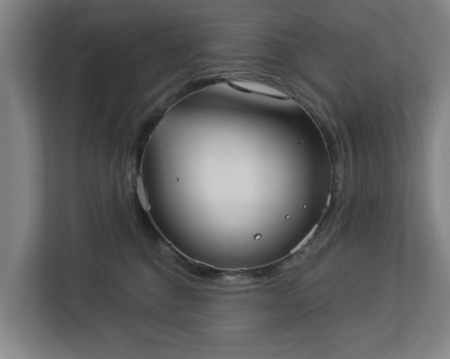 X0000113100376200909041231