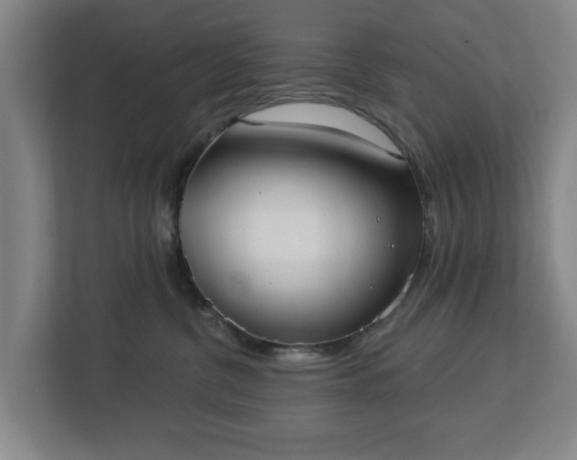 X0000113100380200909041231