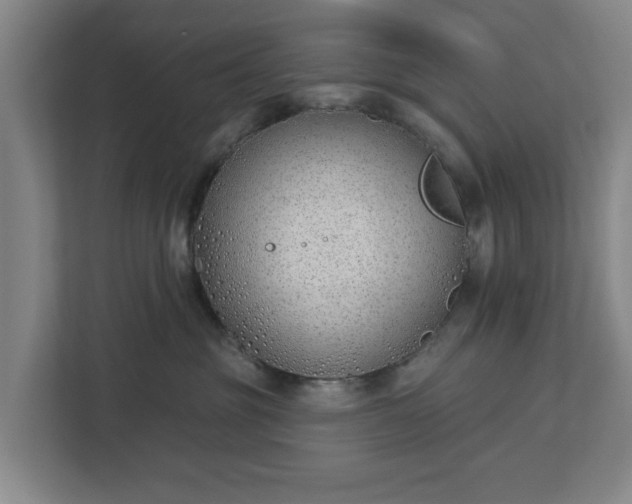 X0000113100381200909041231