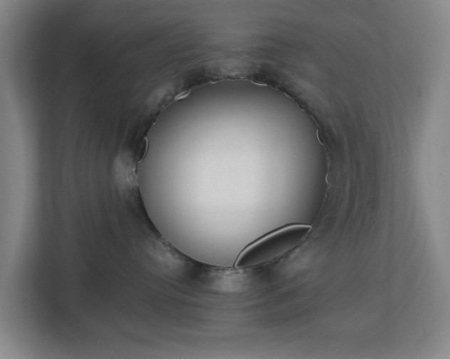 X0000113100384200909041231