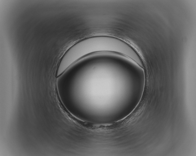X0000113100385200909041230