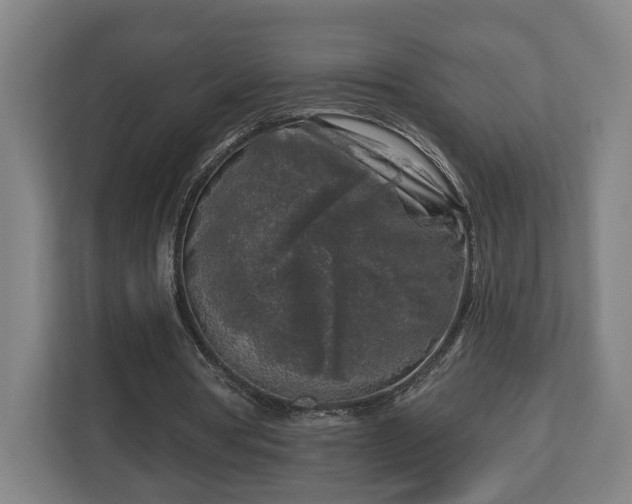 X0000113100386200909041230