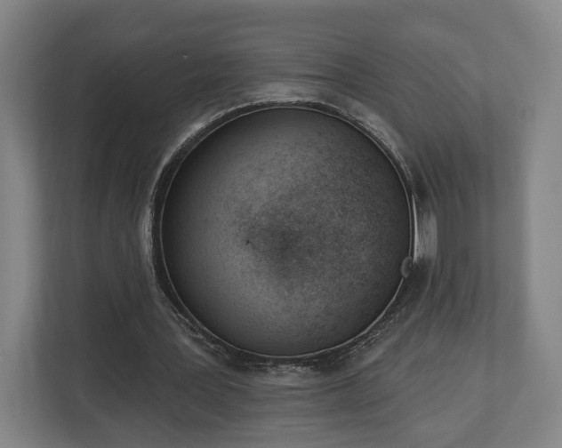 X0000113100387200909041230