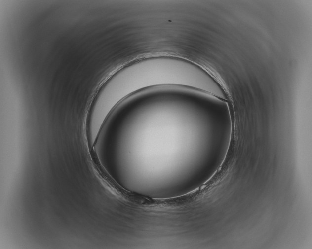 X0000113100389200909041230