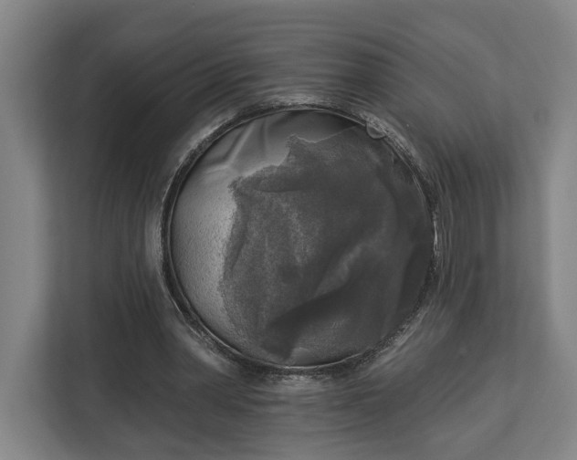 X0000113100390200909041230